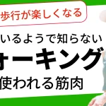 ウォーキングで使われている筋肉とは？